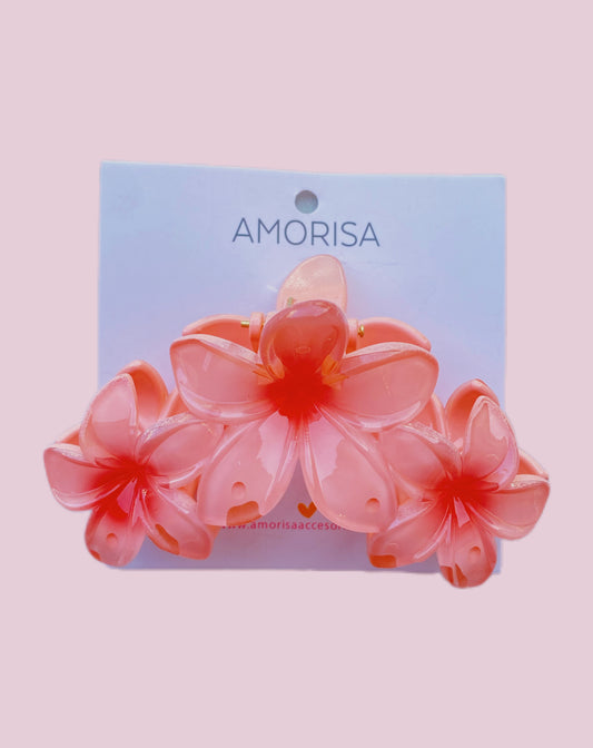 CAIMAN FLOR HAWAIANO