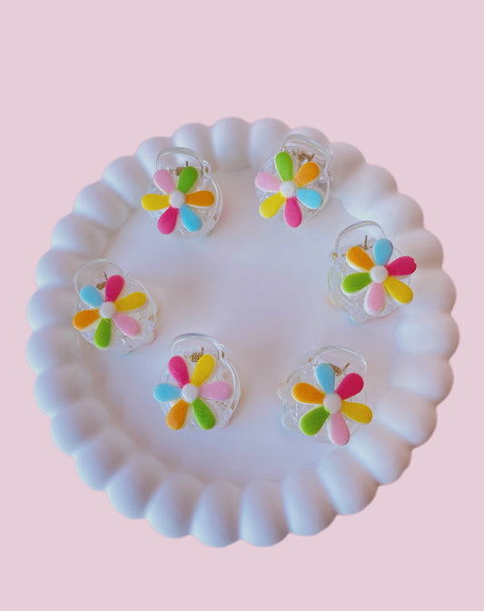 SET MINI CAIMAN FLOR