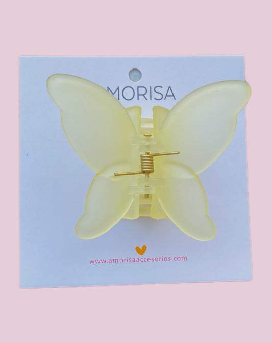 CAIMAN MARIPOSA COREANA