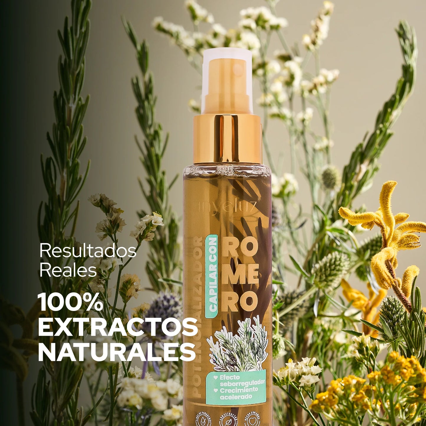 POTENCIALIZADOR DE ROMERO ANYELUZ