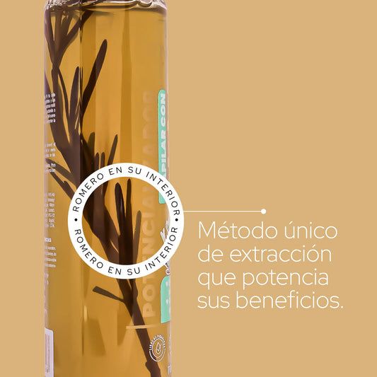 POTENCIALIZADOR DE ROMERO ANYELUZ