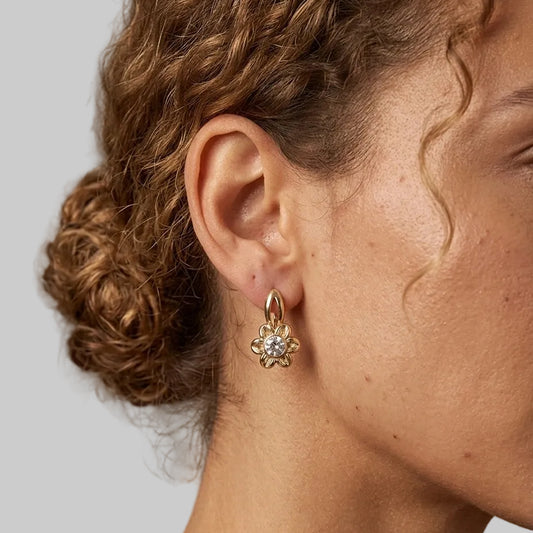 aretes en ibague